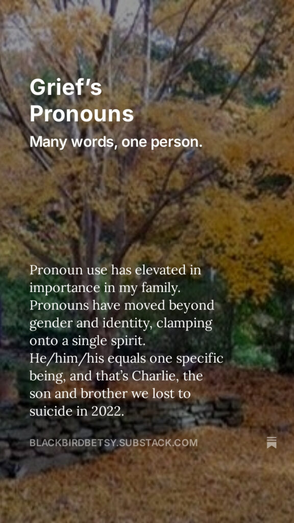 Grief’s Pronouns - Betsy Thibaut Stephenson - Blackbird